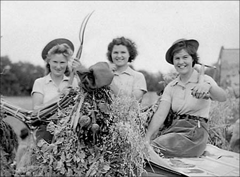 farming