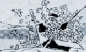leaflet
